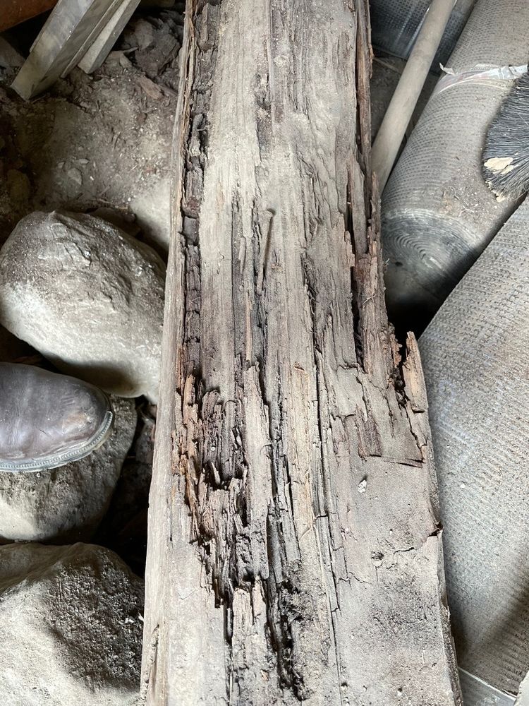A decayed log-beam