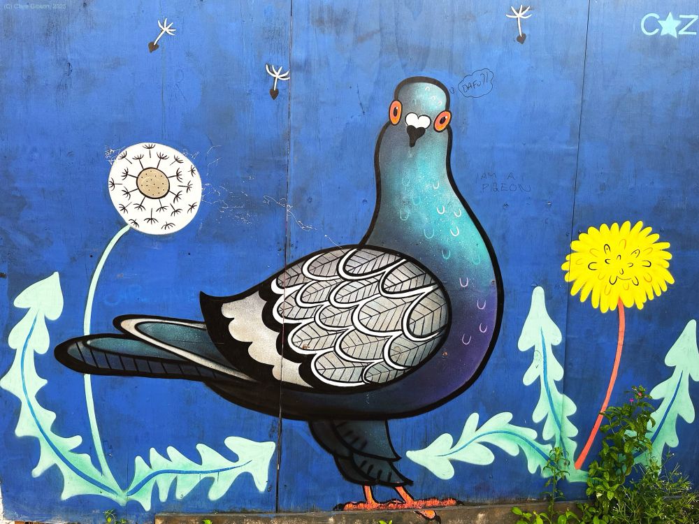 Mural of pigeon standing among dandelions 