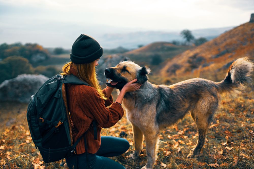 Canine cancer research is helping both pets and people live longer, healthier lives | The Optimist Daily