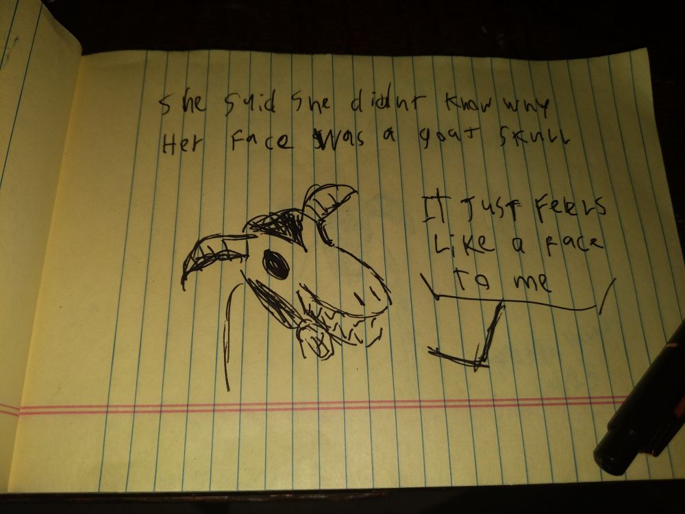 A bad comic. 

"She said she didn't know why her face was a goat skull. 

'it just feels like a face to me.'"