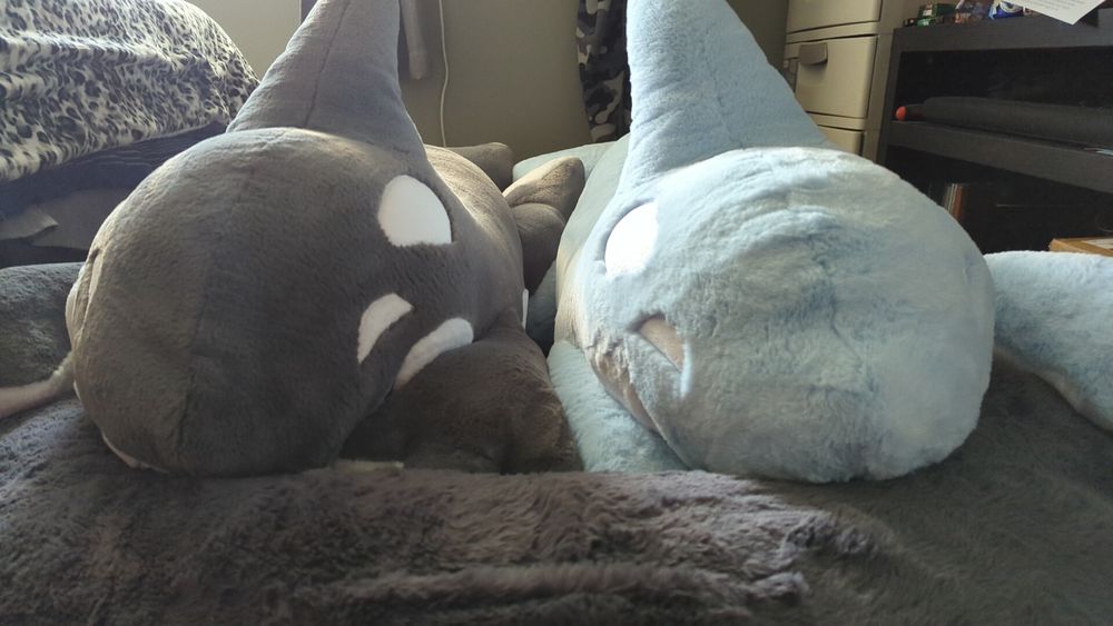 Two big orca creatures facing you in a bed.