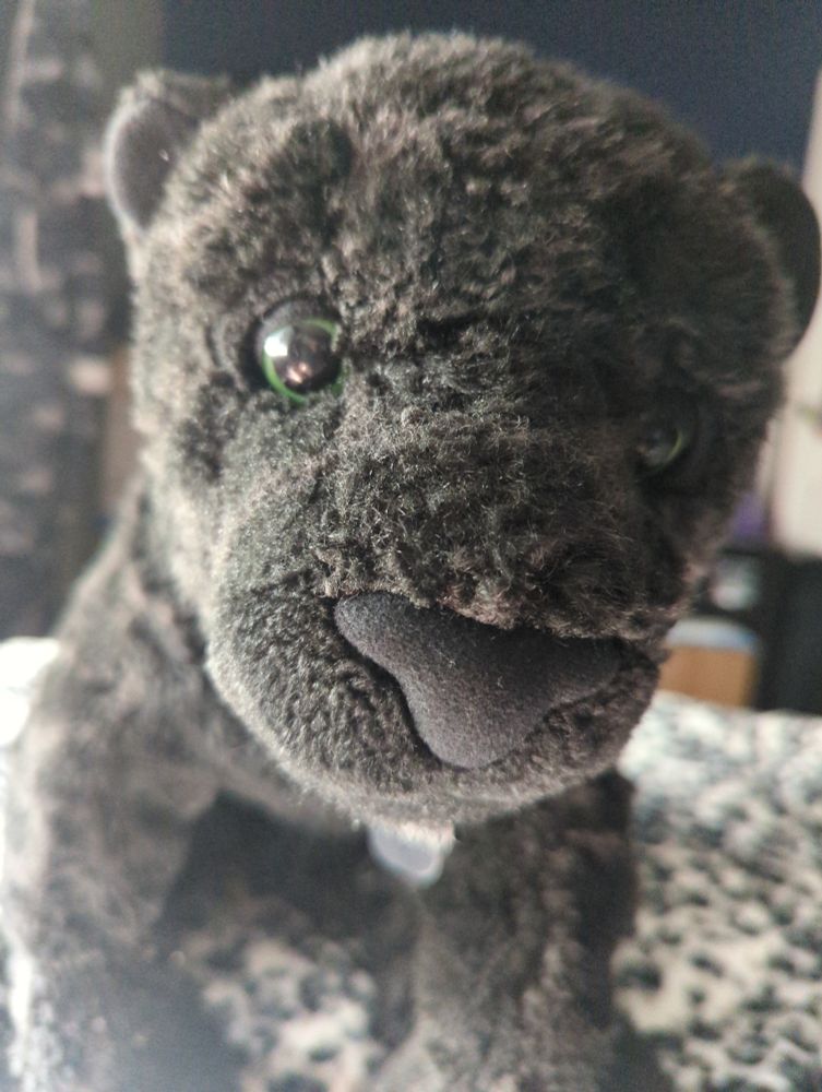 Panther plushie looking right at you with BIG GREEN EYES