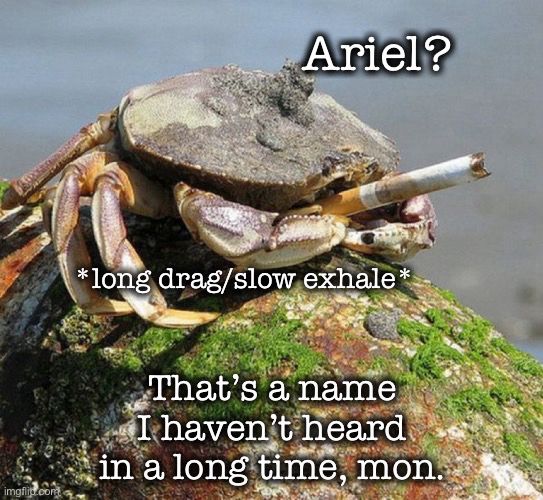 Pic of a crab sitting on a lichen-crusted rock, smoking a cigarette 

Text:

Ariel?

*long drag/slow exhale*

That's a name
I haven't heard in a long time, mon.