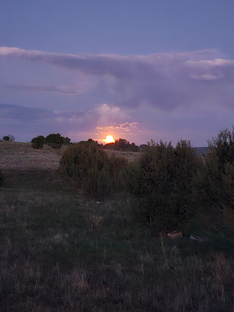 The moon glowing orange just above the horizon