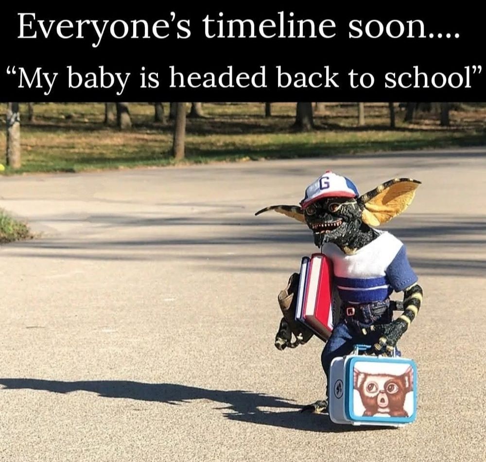 Stripe from the gremlins dressed up for the 1st day of school with books and a square metal lunch box