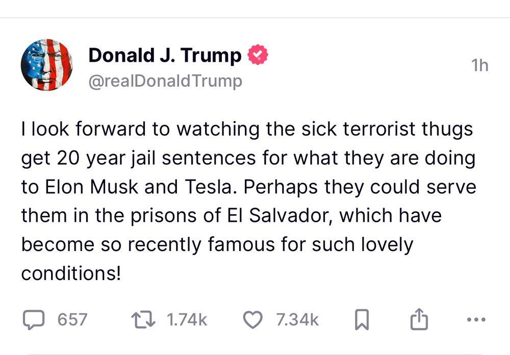 Trump: I look forward to watching the sick terrorist thugs get 20-year jail sentences for what they are doing to Elon Musk and Tesla. Perhaps they could serve in the prisons of El Salvador, which have. become so recently famous for such lovely conditions.