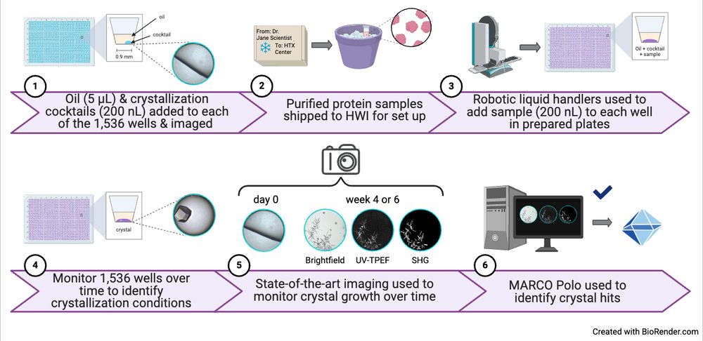 Figure adapted from Figure 1: Schematic of a high-throughput 1,536-well crystallization screening experiment performed at the National Crystallization Center. 
https://www.jove.com/t/65211/high-throughput-screening-to-obtain-crystal-hits-for-protein