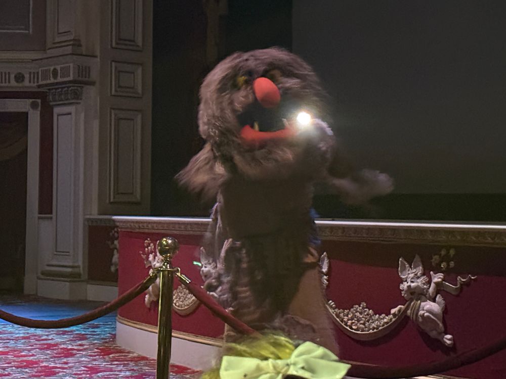 Sweetums is on the look out for Bean Bunny