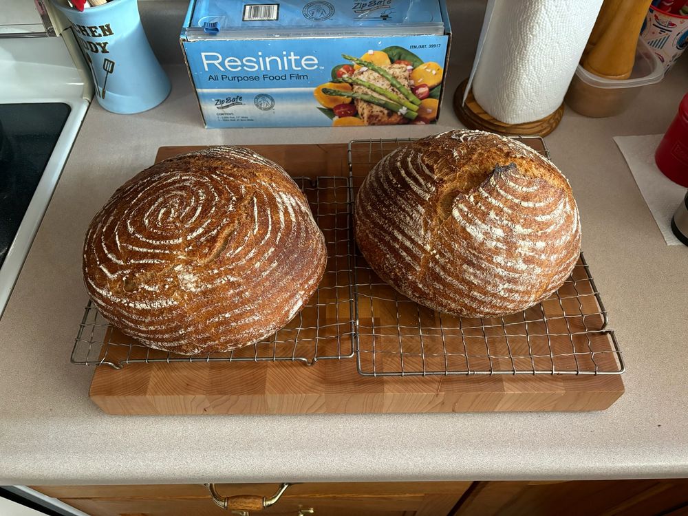 Two boules of whole wheat bread on cooling racks. 