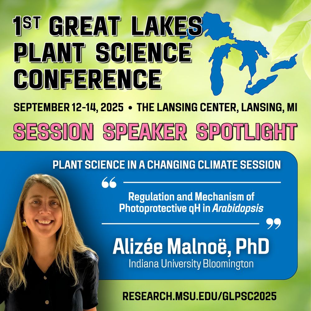 A GLPSC 2025 session speaker spotlight graphic with a background image of blurred leaves and an outline of the Great Lakes. The text says, "1st Great Lakes Plant Science Conference, September 12-14, 2025, the Lansing Center, Lansing, MI, research.msu.edu/glpsc2025.” Contained in a blue box, the graphic also includes a headshot of Alizée Malnoë with the text, “Plant Science in a Changing Climate Session. ‘Regulation and Mechanism of Photoprotective qH in Arabidopsis’, Alizée Malnoë, PhD, Indiana University Bloomington.”