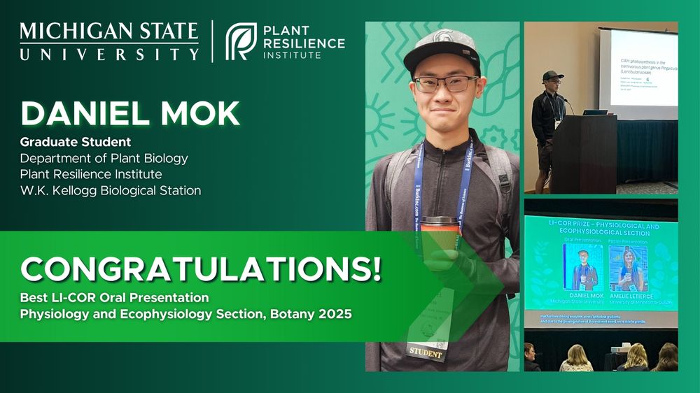 A green graphic featuring a grid of photos of Daniel Mok presenting at Botany 2025 on the right and the MSU PRI logo in the upper left corner. There is white text on the left that says: "Daniel Mok, Graduate Student, Department of Plant Biology, Plant Resilience Institute, W.K. Kellogg Biological Station" Contained in a light green arrow, is the following text: "Congratulations! Best LI-COR Oral Presentation, Physiology and Ecophysiology Section, Botany 2025"