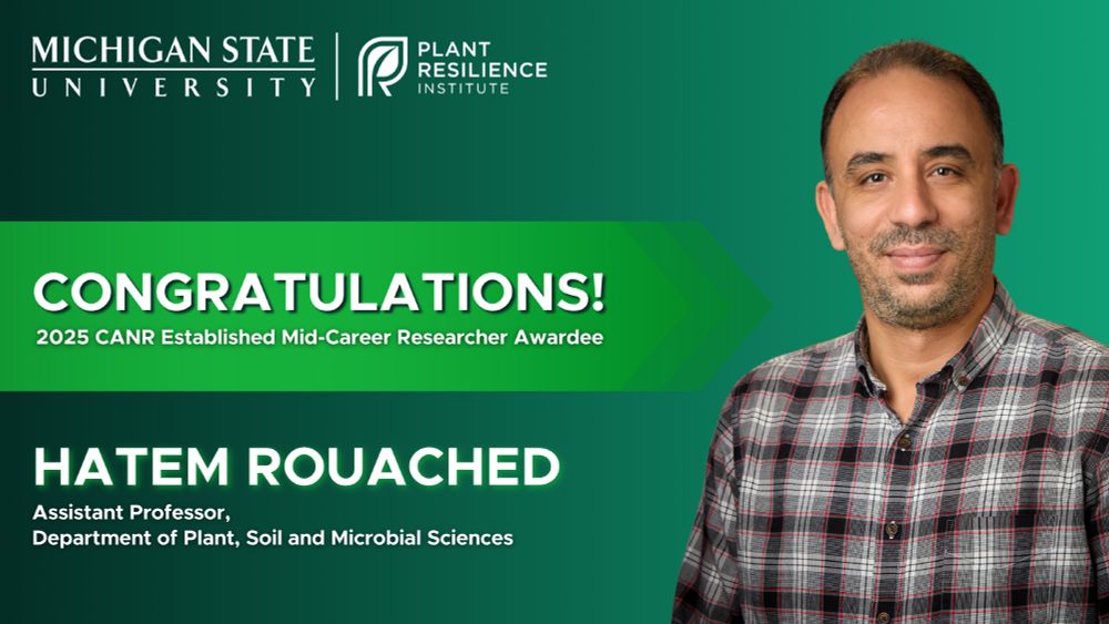 A green graphic featuring a headshot of Hatem Rouached and the MSU PRI logo. The text says: Congratulations! 2025 CANR Established Mid-Career Researcher Awardee Hatem Rouached, Assistant Professor, Department of Plant, Soil and Microbial Sciences