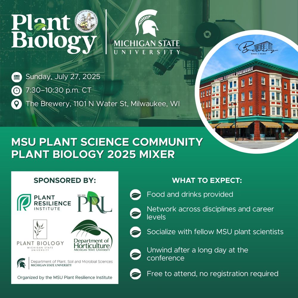 A graphic advertising the MSU Plant Science Community Plant Biology 2025 Mixer. The top of the graphic features a background photo of an enlarged DNA strand and a microscope with the ASPB Plant Biology and MSU logos, a circular photo of The Brewery venue, and the following text: Sunday, July 27, 2025, 7:30-10:30 p.m. CT, The Brewery, 1101 N Water St, Milwaukee, WI. The bottom half of the graphic has a green gradient background with the sponsor's logos in a white square on the left and the following bulleted text on the right: What to Expect: Food and drinks provided, Network across disciplines and career levels, Socialize with fellow MSU plant scientists, Unwind after a long day at the conference, Free to attend, no registration required