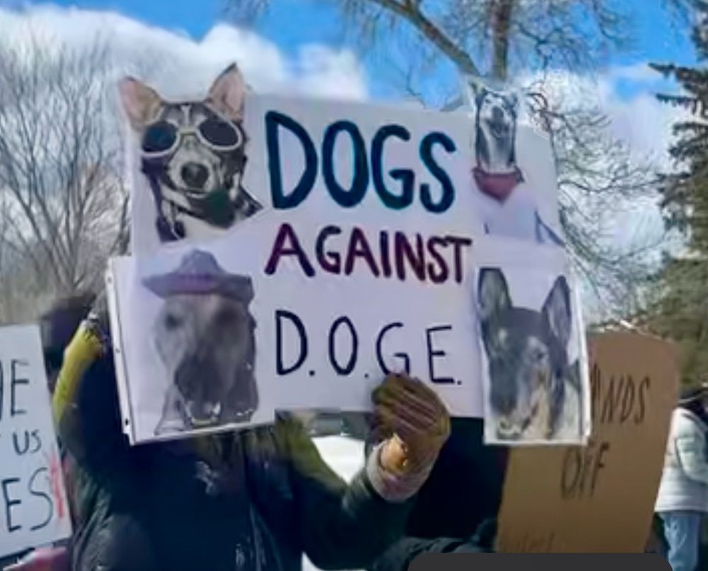 Large handmade sign reading ‘DOGS AGAINST D.O.G.E.” and containing four pictures of sled dogs, one of which is wearing a hat and another of which is wearing goggles.