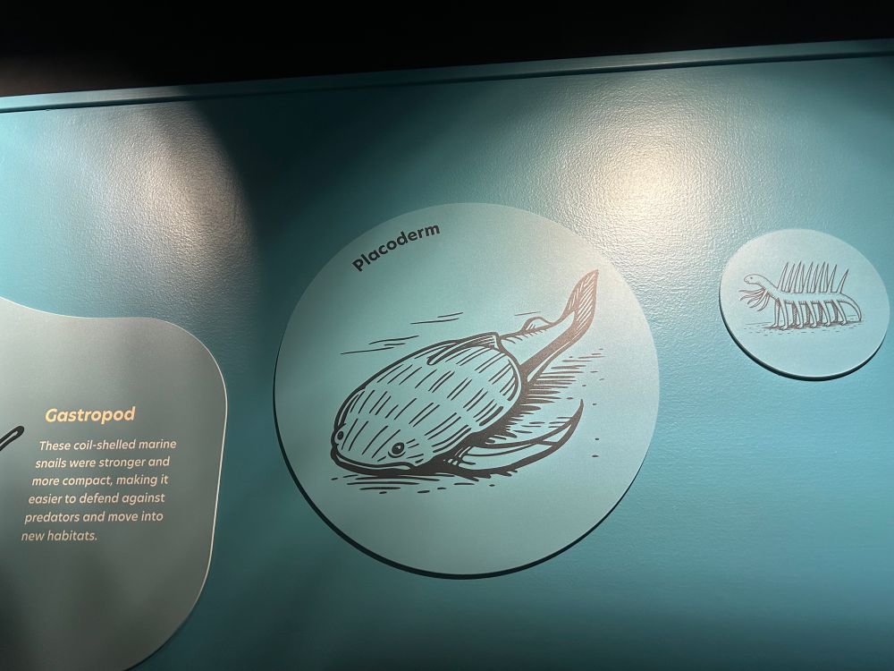 Signage on the wall of an aquarium exhibit including a depiction of a placoderm that may or may not somewhat resemble a tadpole depending on how you look at it, and whether you are a small child with tadpoles on the brain.