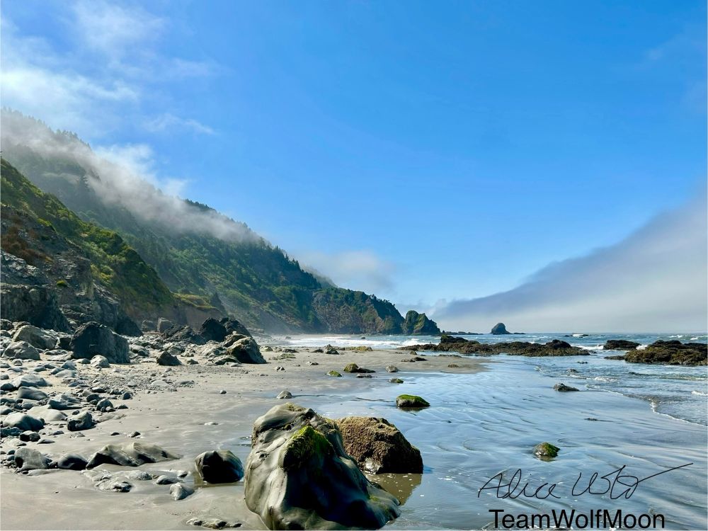 Endert’s Beach, CA, 2023. The tide is low, revealing a mix of sand and scattered rocks and boulders. Large hills covered in green vegetation and patchy fog slope down towards the shore. The sun reflects off a heavy fog bank just offshore.