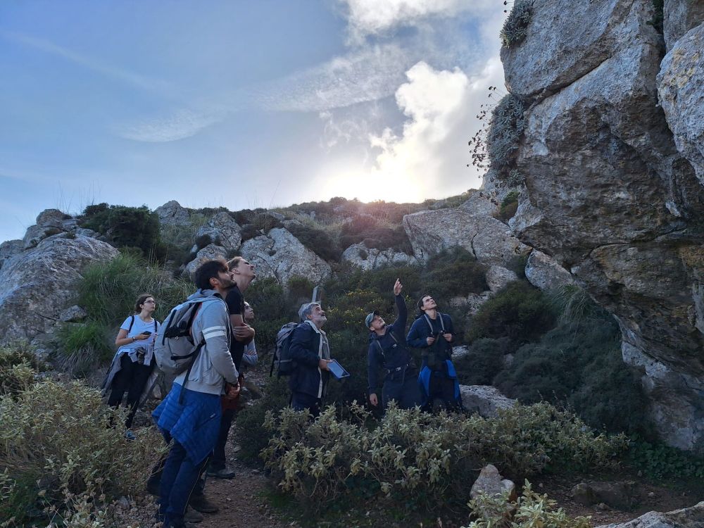 Botany lab members looking at endemic species on cliffs. Phlomis italica (endemic to Ma & Me) is around them.