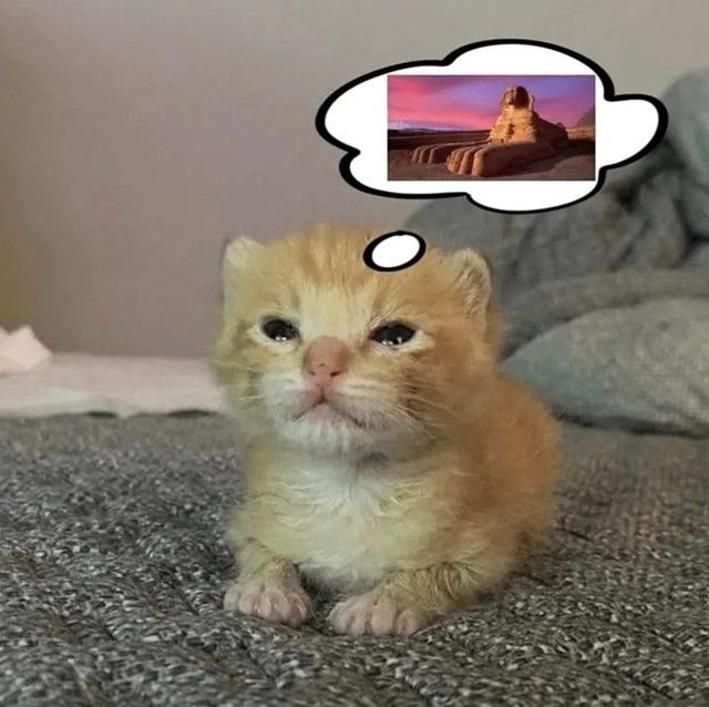 A kitten dreaming of world domination, with a cartoon balloon thinking of the sphinx.