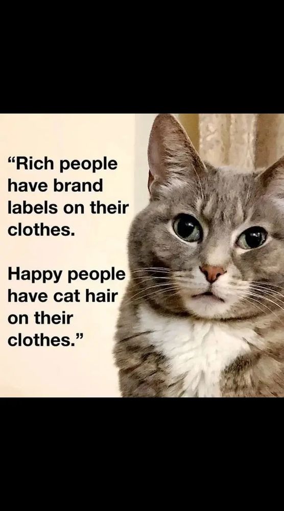 "Rich people have labels on their clothes.

Happy people have cat hair on their clothes."