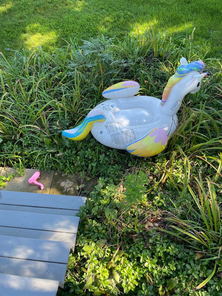 Pool flotation devices that have escaped into the plants.