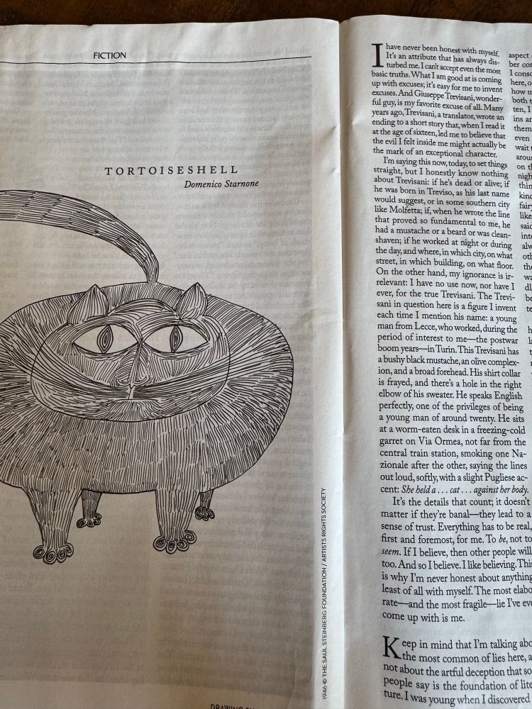 Tortoiseshell by Domenico Starnone