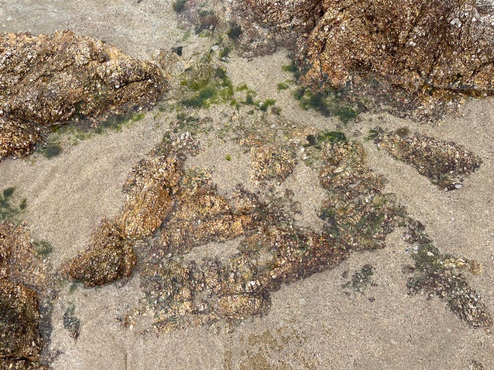 岩のある砂浜。海水が透き通っている