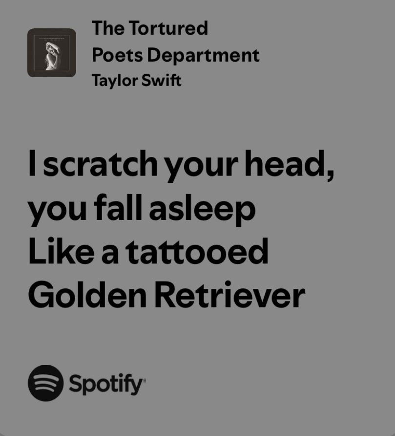 Lyrics from Taylor Swift’s song Tortured Poets Department that read “I scratch your head, you fall asleep like a tattooed golden retriever” 