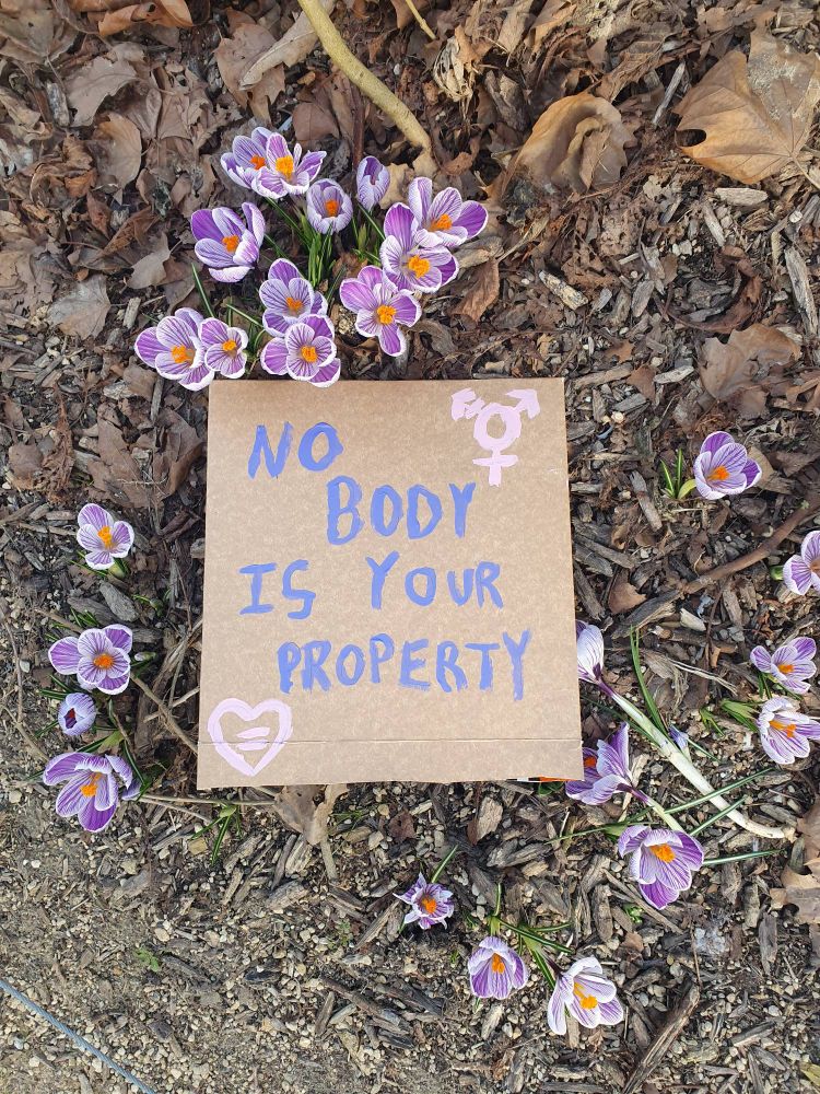 A cardboard sign saying No body is your property laying among some crocuses