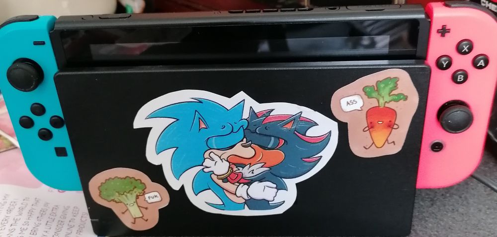 This is my Switch dock...