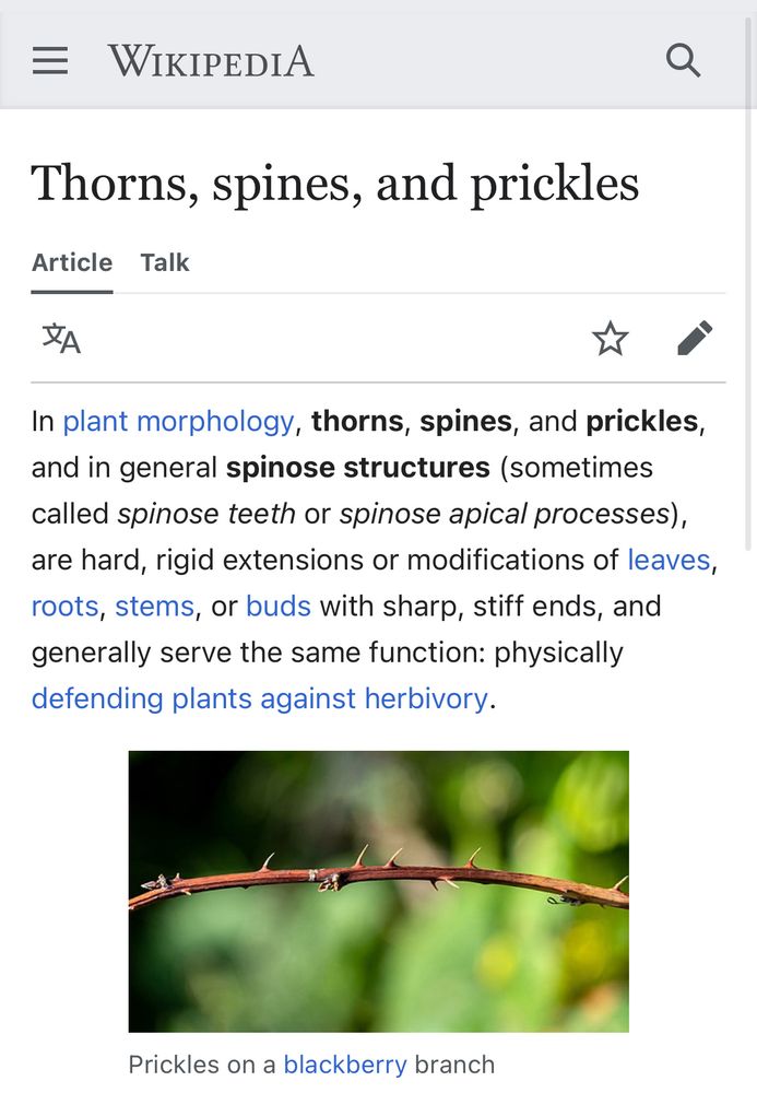 A Wikipedia article titled “Thorns, spines, and prickles”