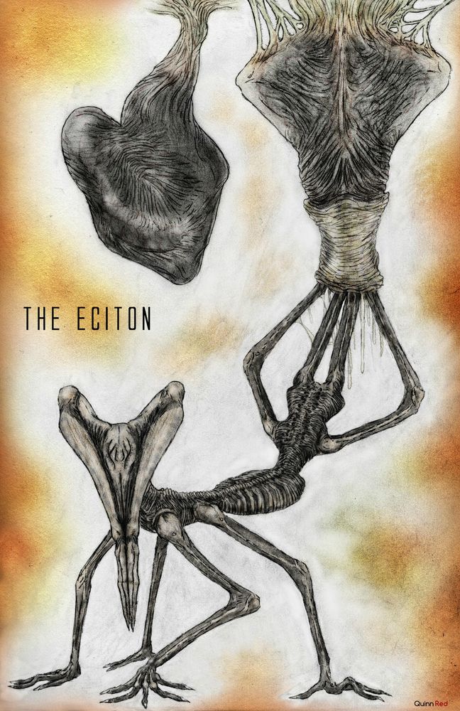 A vaguely human shaped black sac hangs from a ceiling as another one everts with a many limbed creature emerging. It's head is eyeless and consist mainly of a pair of arms as if in prayer.