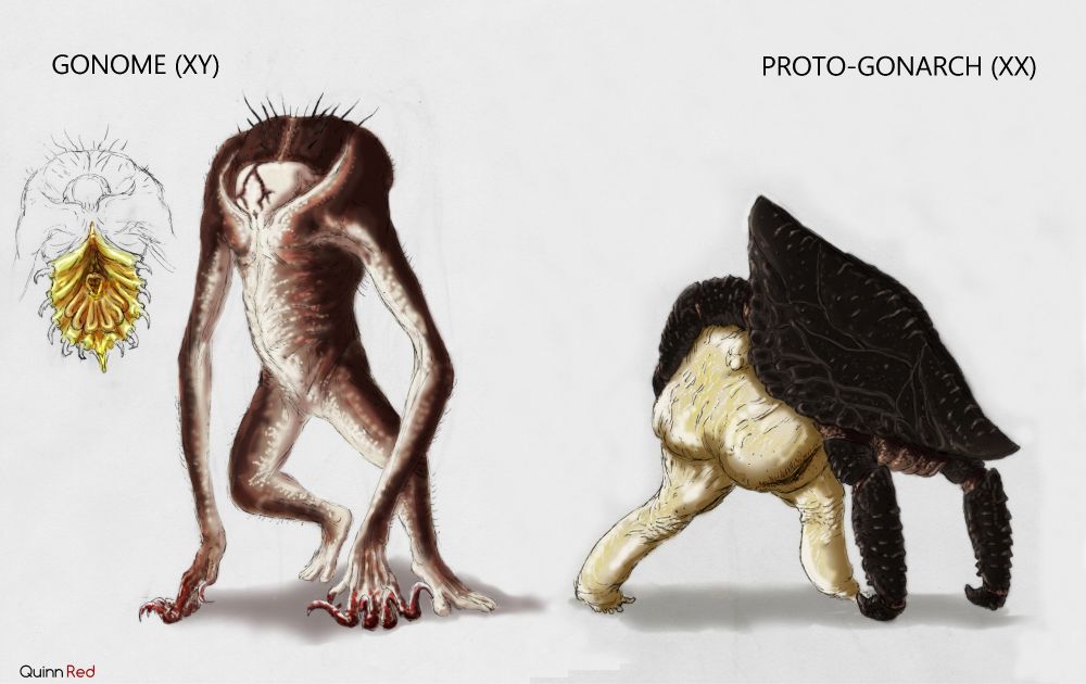 The Gonome and Proto-Gonarch standing side by side.