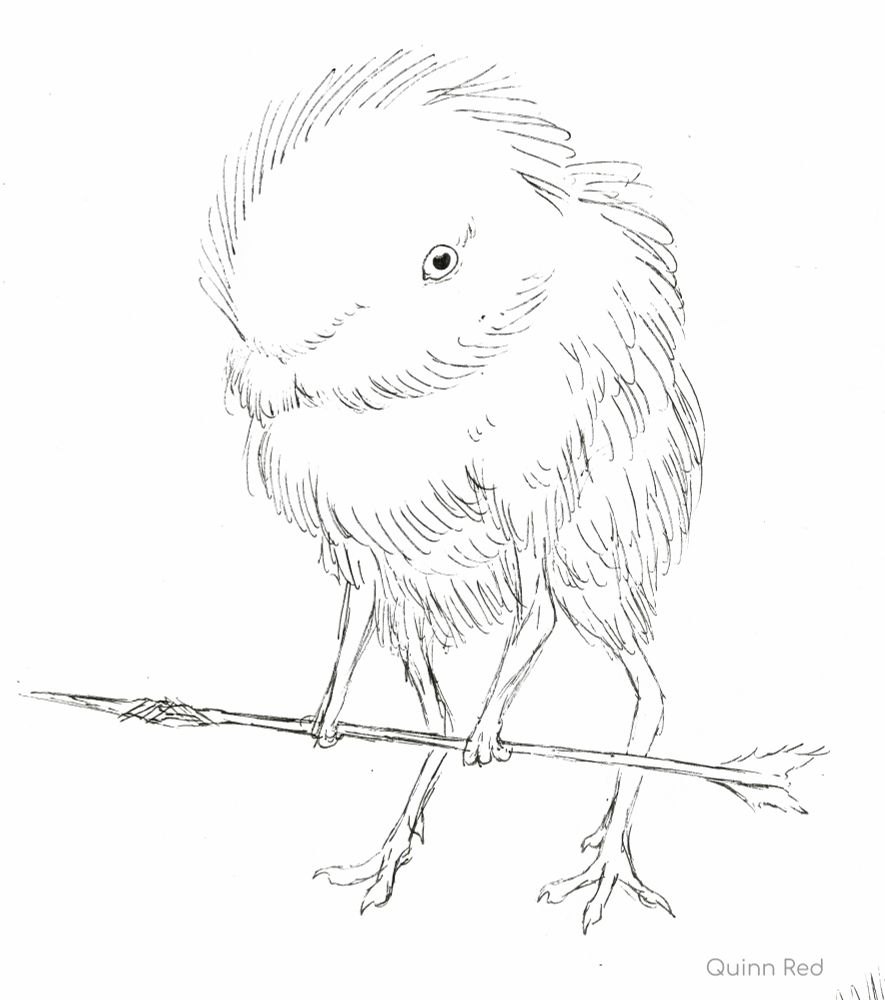 A small fluffy creature with chicken like legs and rat like arms holding a spear.