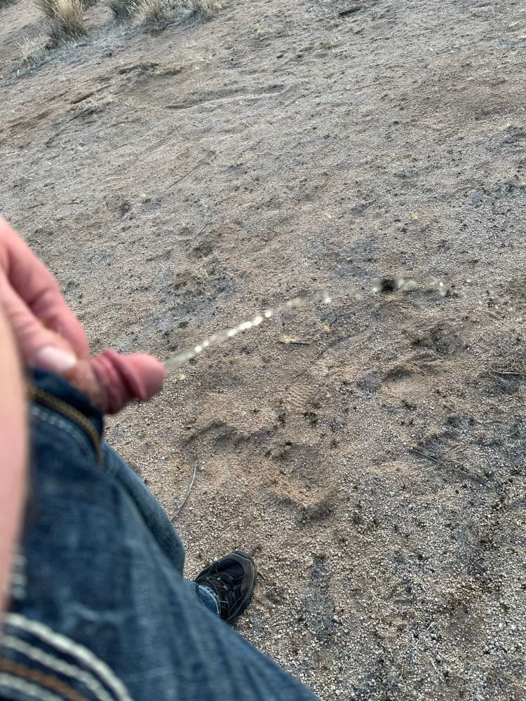 A small dicked man pees in the desert 