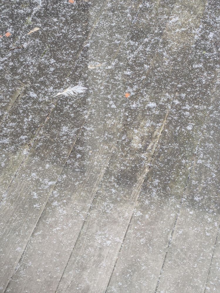 Close up.of a wooden balcony floor with snowflakes and a small white feather 