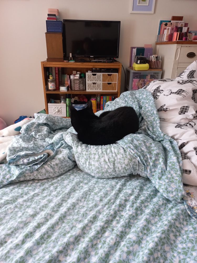 A little black cat laying on a pile of blankets at the end of a bed