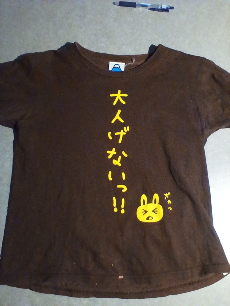 茶色のTシャツ。
黄色い文字で縦に「大人げない!!」と書いてあって、小さくウサギが目をぎゅっとして「ぎゃっ」とつぶやくイラストも描かれている。