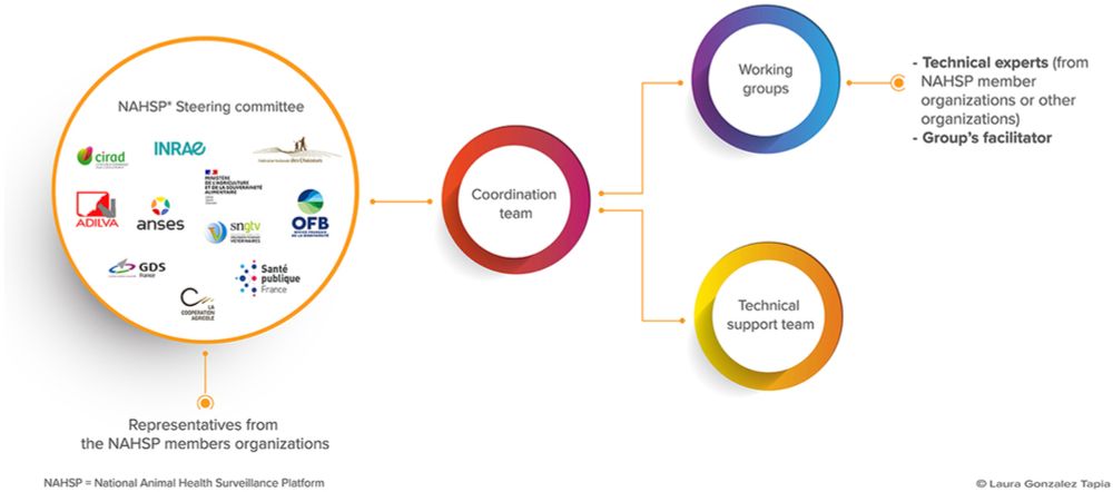 Frontiers | The French National Animal Health Surveillance Platform: an innovative, cross-sector collaboration to improve surveillance system efficiency in France and a tangible example of the One Hea...