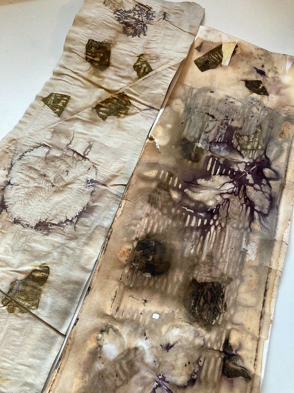 Both pieces of paper dry this morning. The one on the right has lines from the tin can as well as a good leaf pattern. The one on the left has a bigger, rounder but less detailed leaf pattern on it.