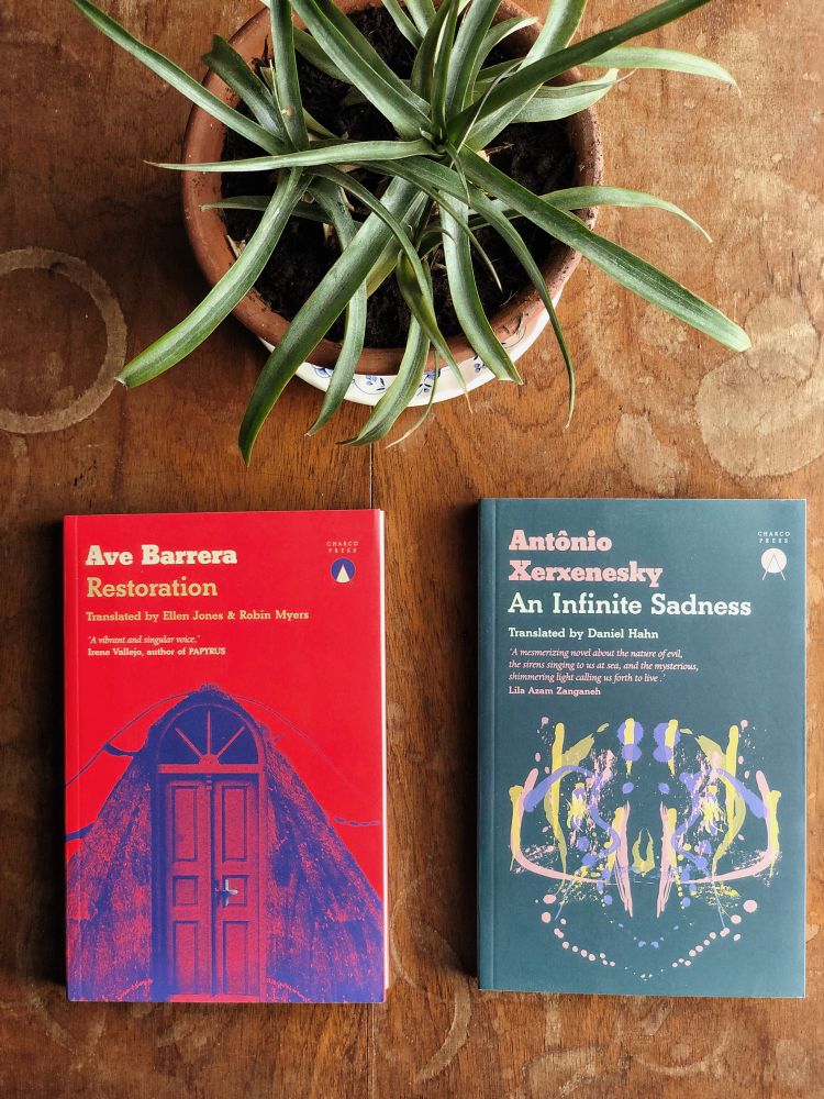 Restoration by Ave Barrera and An Infinite Sadness by Antônio Xerxenesky, both books on a wooden table with a pineapple plant