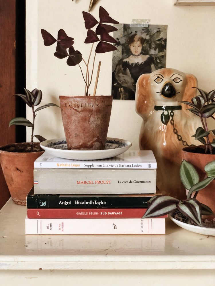 On a mantelpiece a stack of books with a fireside dog, terracotta pots with plants. The books are Supplément à la vie de Barbara Loden, Le côté de Guermantes by Marcel Proust, Angel by Elizabeth Taylor, Sud Sauvage by Gaëlle Bélem and Le pays des autres by Leïla Slimani.