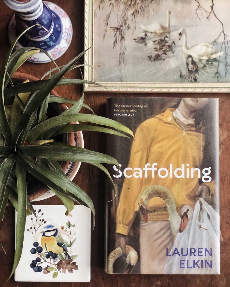 Scaffolding by Lauren Elkin on a wooden table next to a pineapple plant, a blue ceramic candleholder, a coaster with a blue tit and a painting of swans.