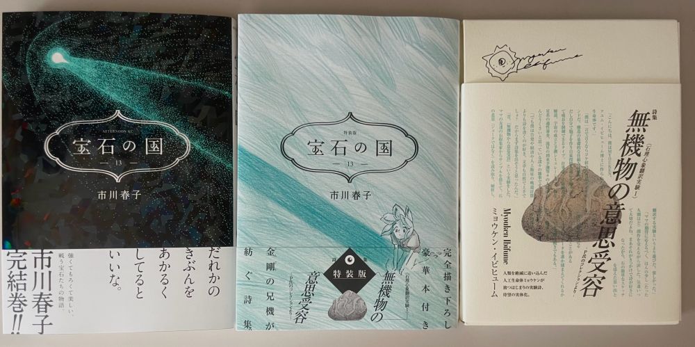 宝石の国13巻通常版と特装版