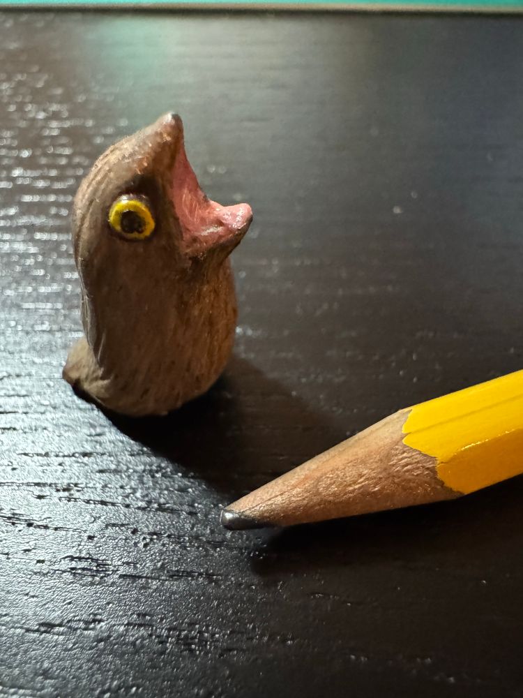 Clay potoo 