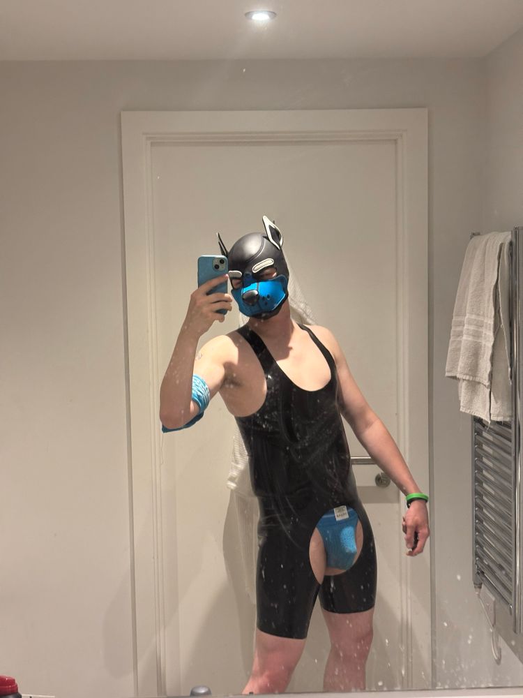 Blue and white neoprene hooded dog in a black hero suit and blue jock posing in a mirror at a friends house party, debating if the outfit is “too much”