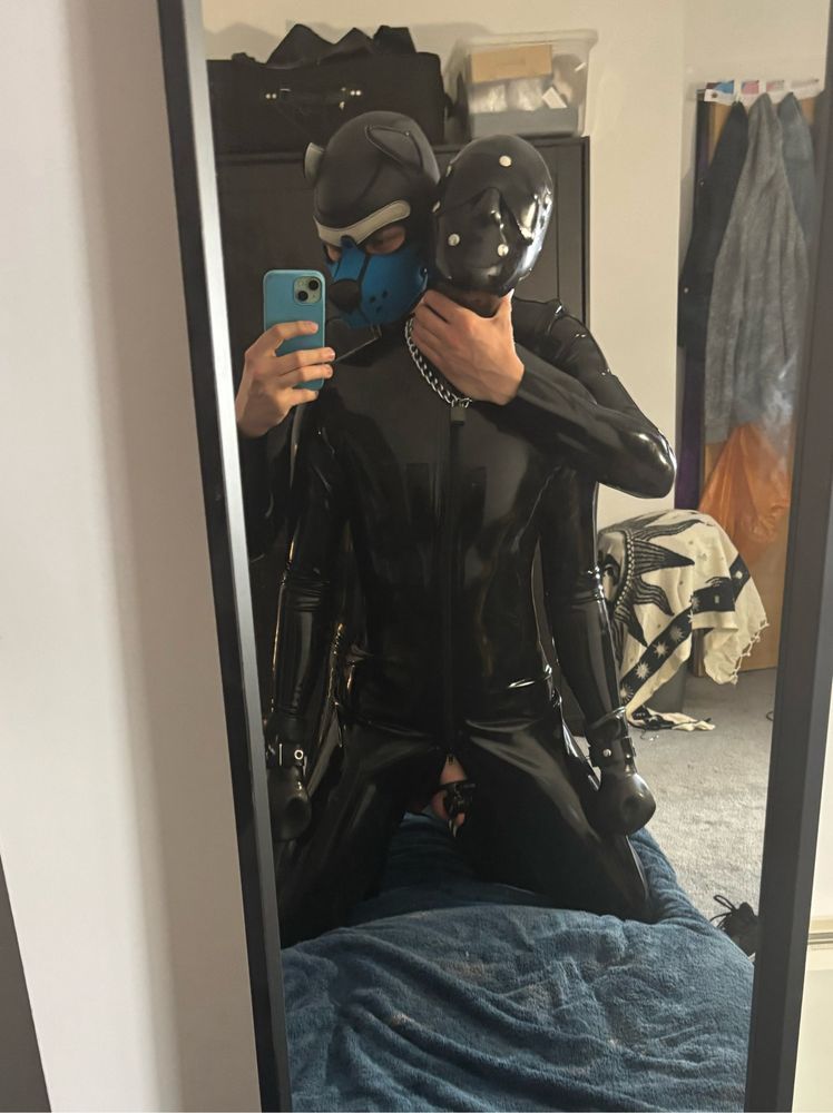 Blue and white pup choking out a full rubber gimp