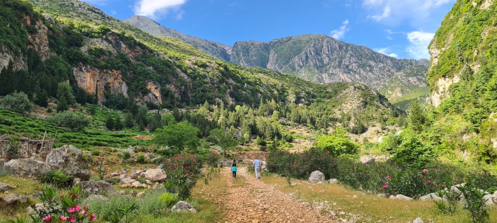 la même vallée, un peu plus vers le fond, avec des petites terrsses et des arbres écoutez c'est pas facile à décrire mais c'est chouette y'a des montagnes et des lauriers-roses