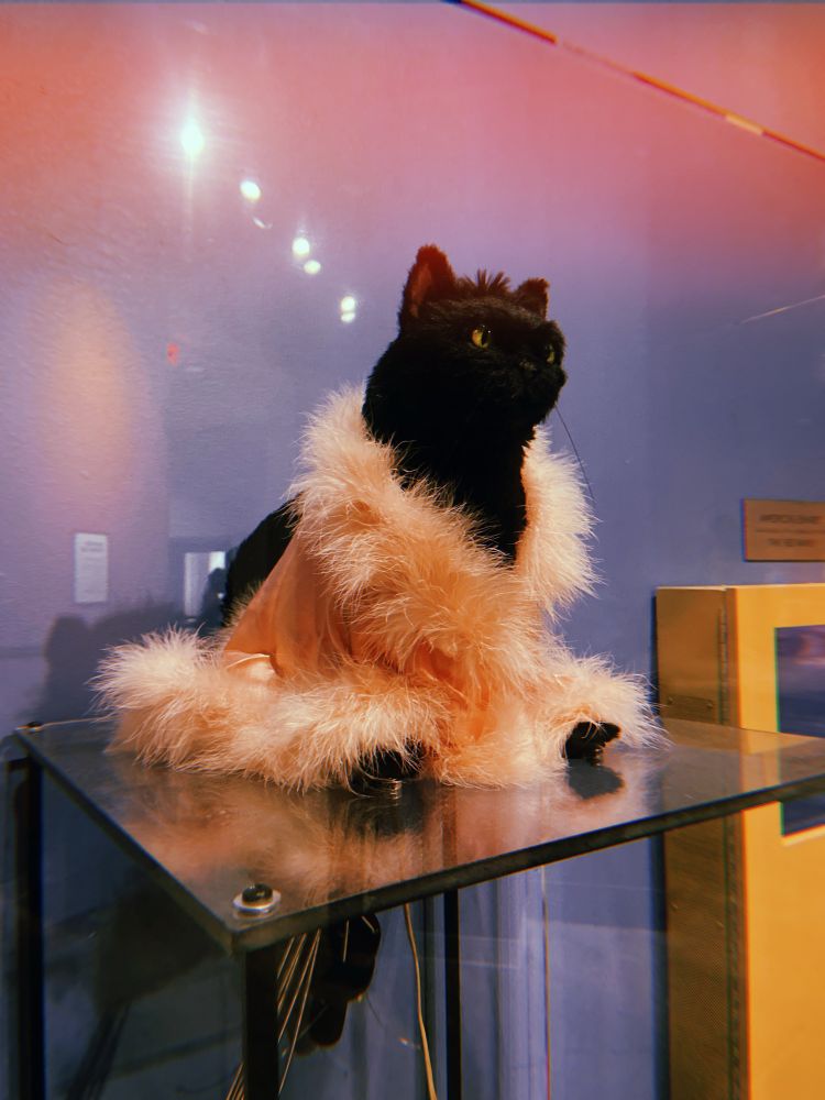Salem Saberhagen of Sabrina the Teenage Witch