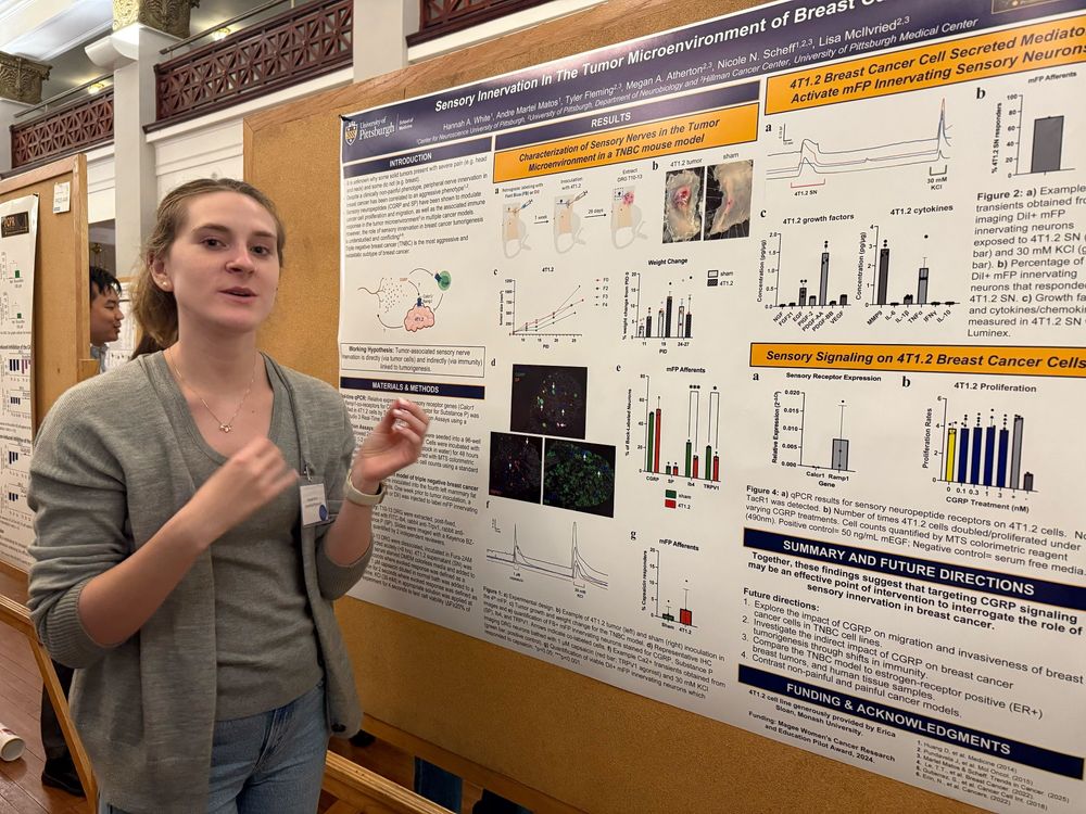 Hannah White presents her poster entitled: Sensory Innervation in the Tumor Microenvironment of Breast Cancer.
