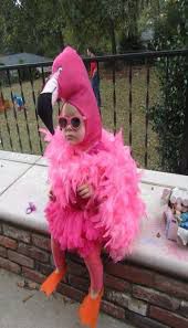Cool child in pink flamingo suit.